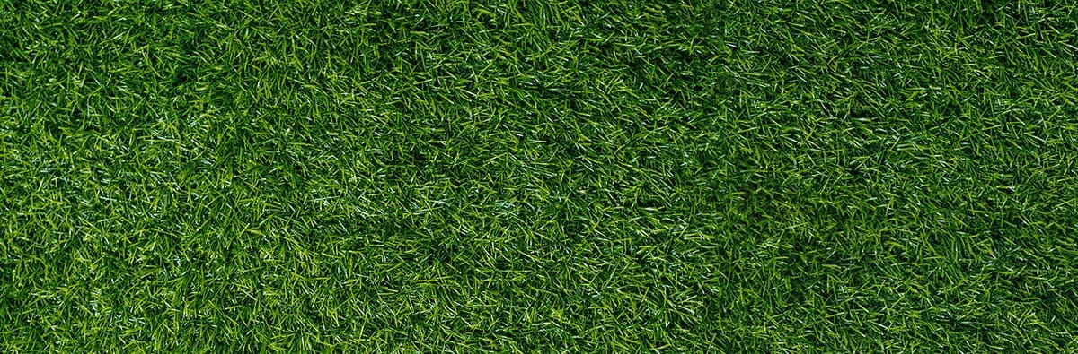 grass-top-down